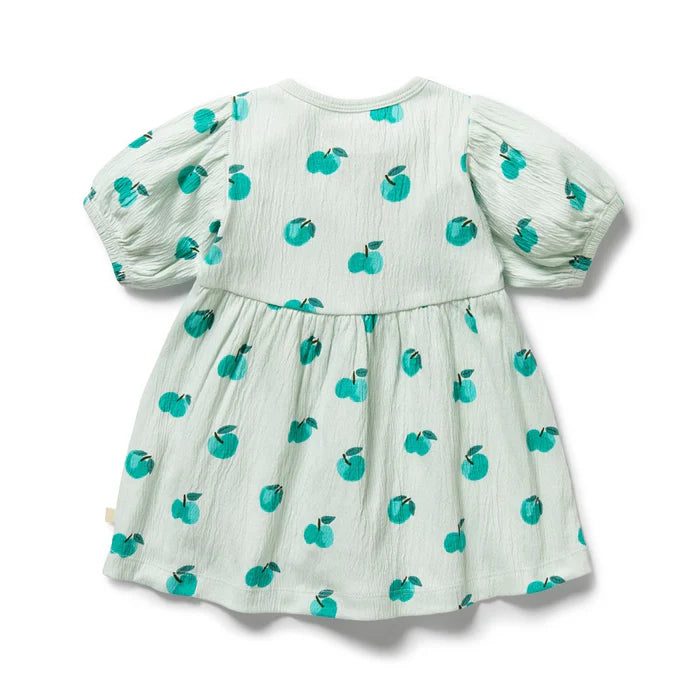 Apple Papple Organic Button Dress