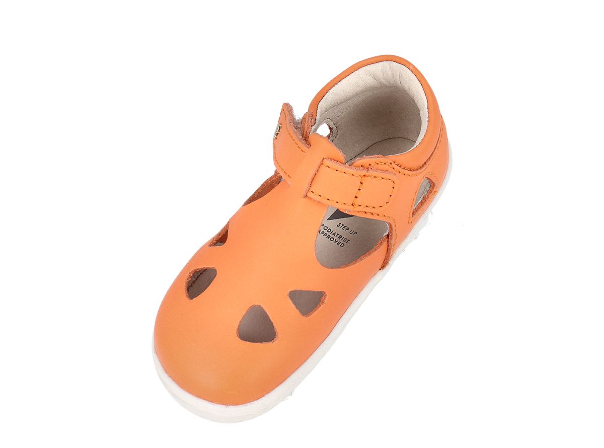 Zap II - Apricot Crush