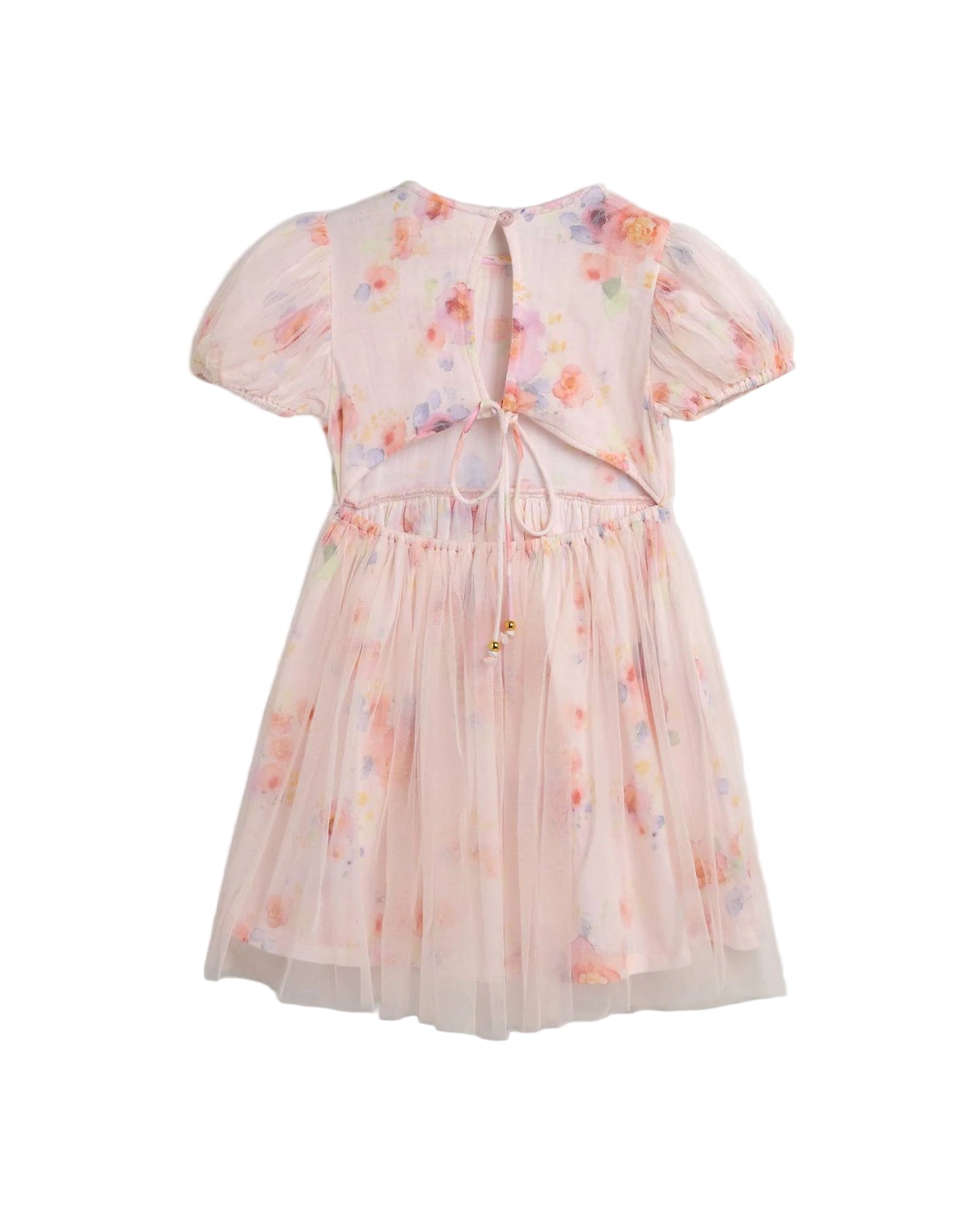 Aria Dress - Roses