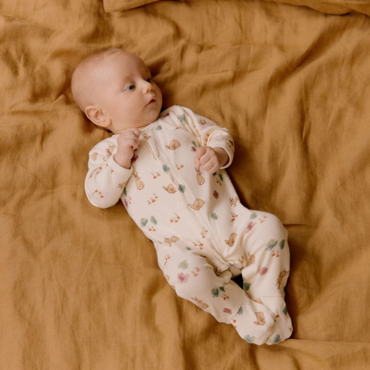 Stretch and Grow - Country Bunny