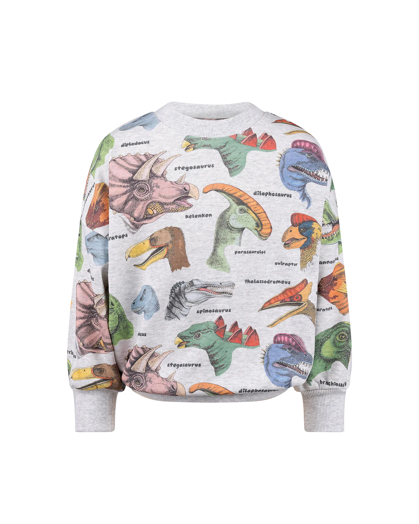Dino Bright Sweatshirt