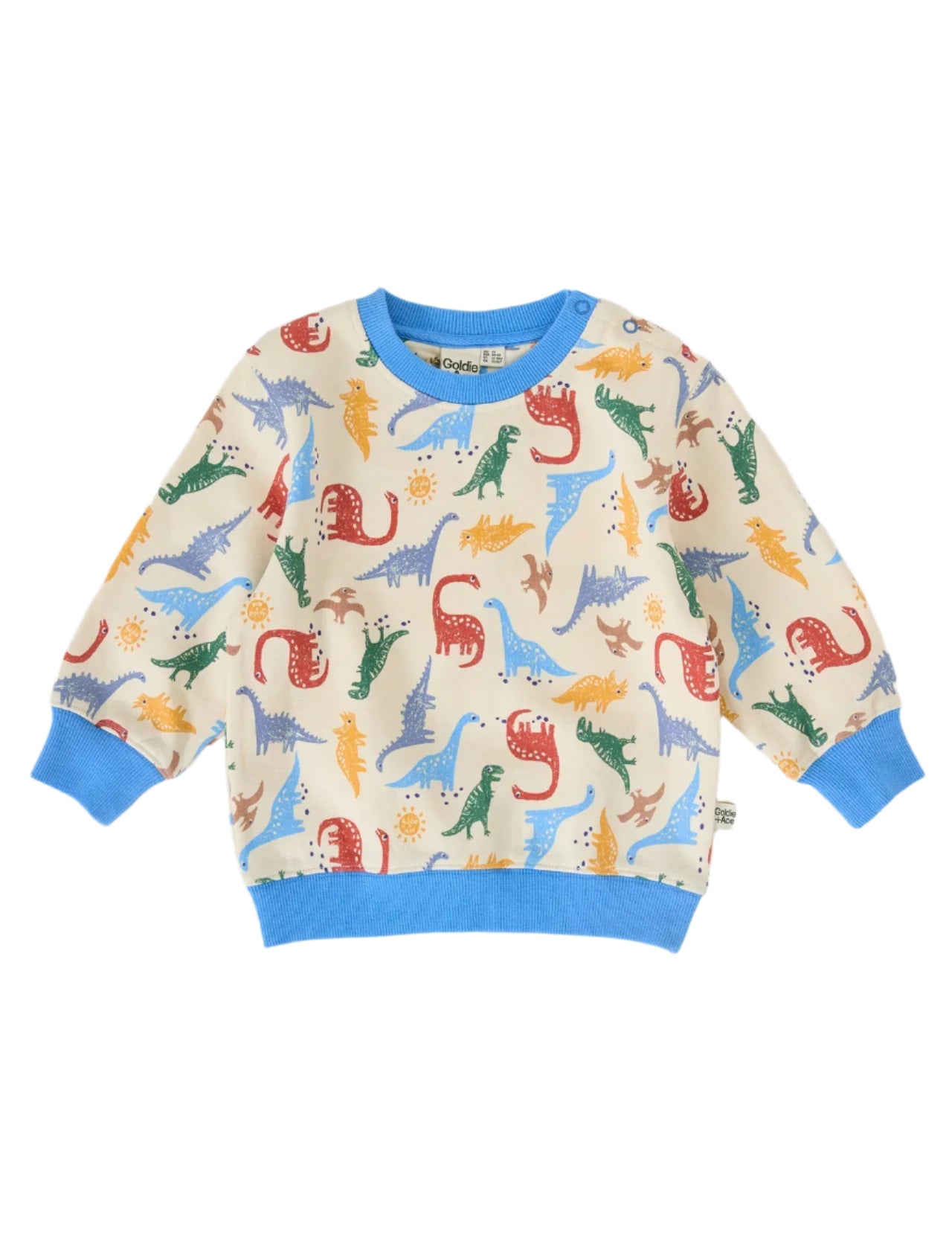 Dino-Mite Relaxed Terry Sweater