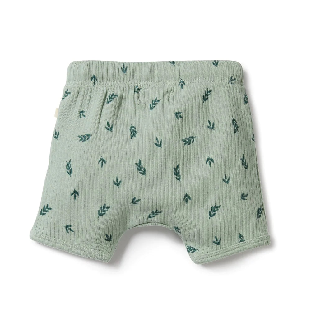 Falling Leaf Organic Rib Short