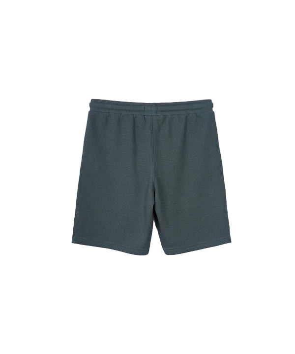 The New Flynn Short - Forest