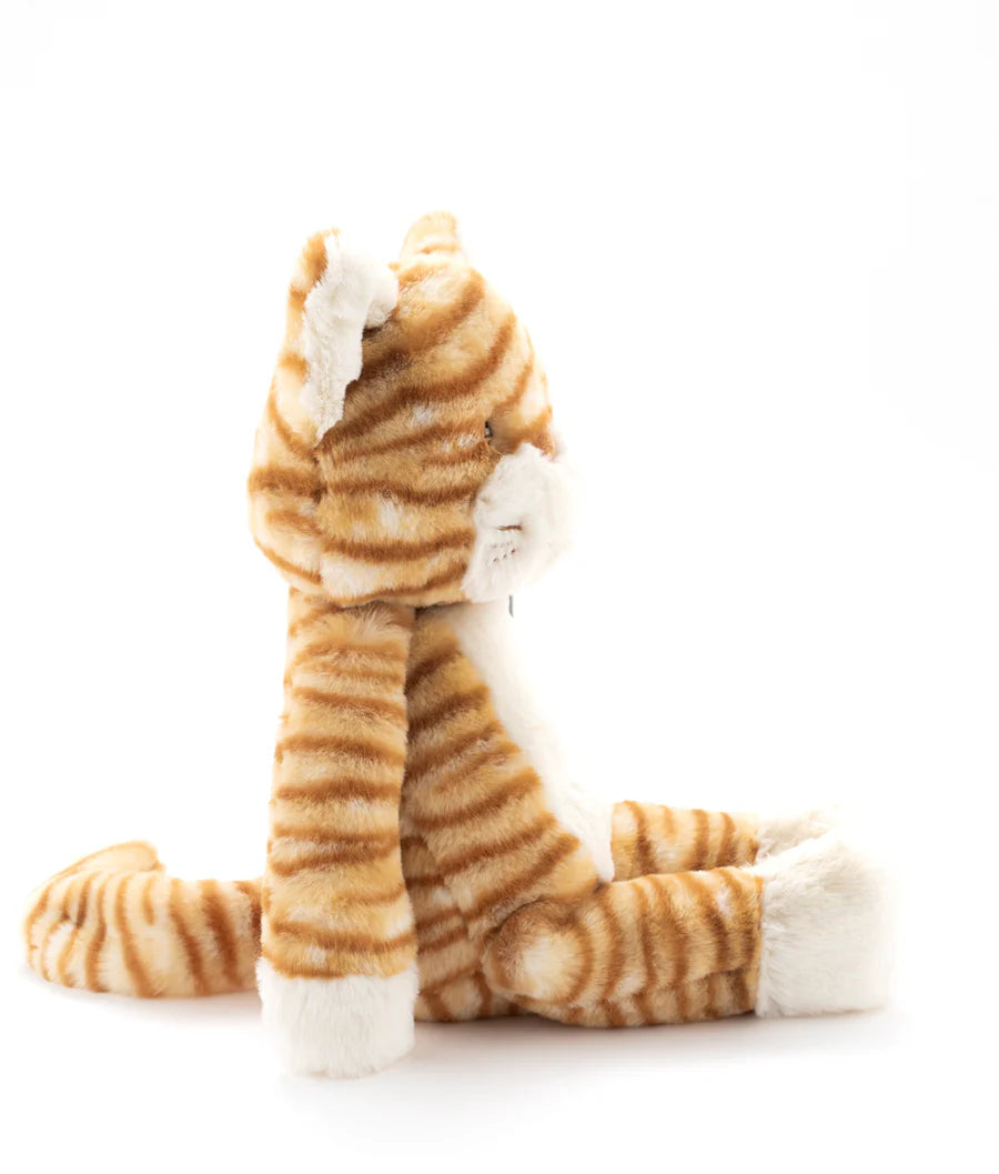 Ginger The Cat