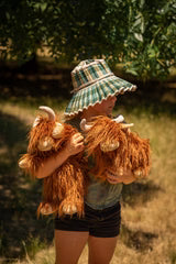 Heidi The Highland Cow
