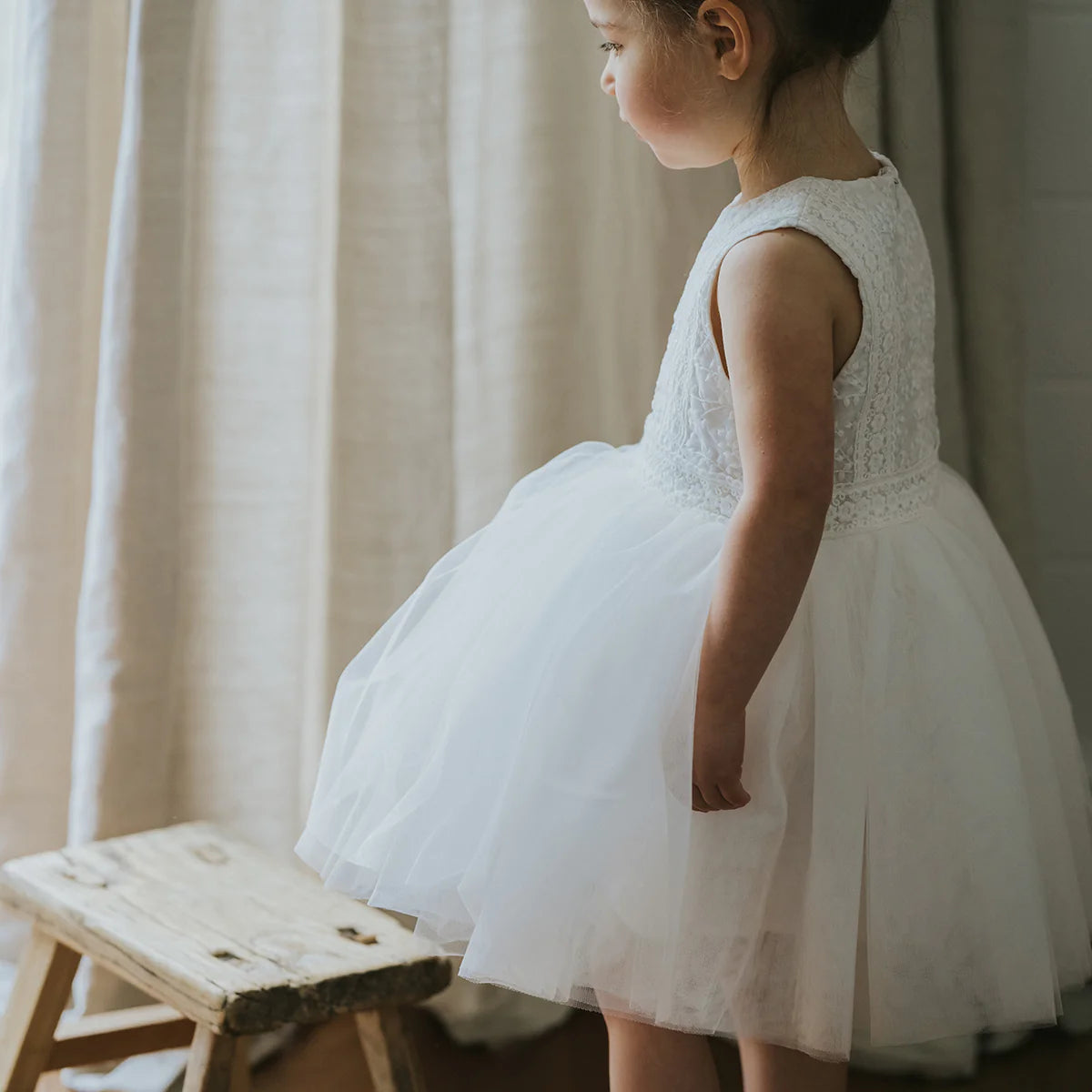 Embroidered Organza Dress - Ivory