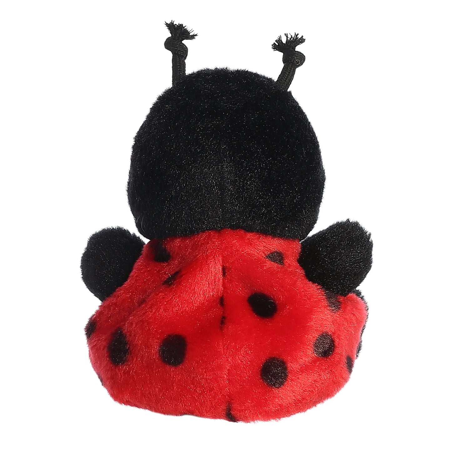 Lil Spots Ladybug