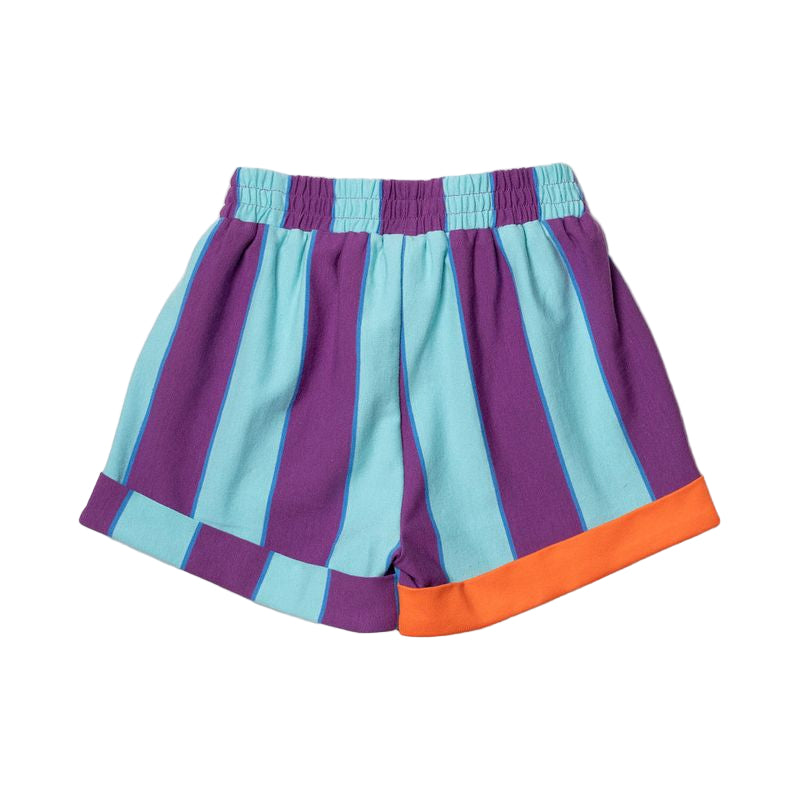 Shorts - Purple & Aqua Stripes