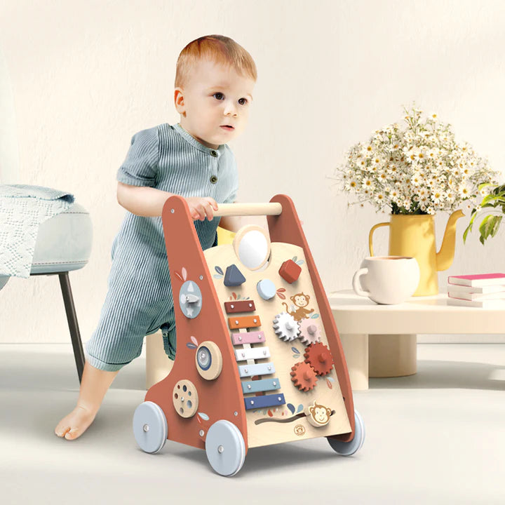 Multi Activity Push Toy