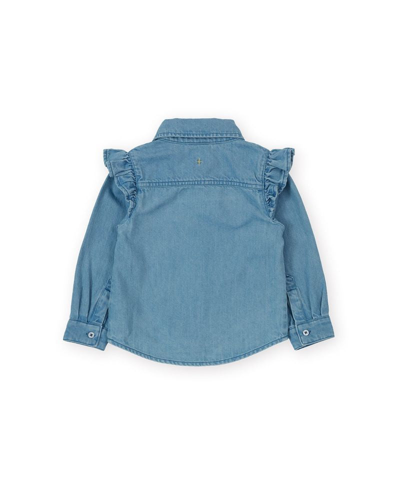 Wild Strawberry Chambray Shirt