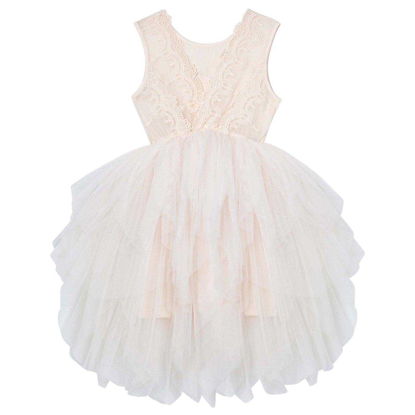 Sophie Lace Bodice - Beige