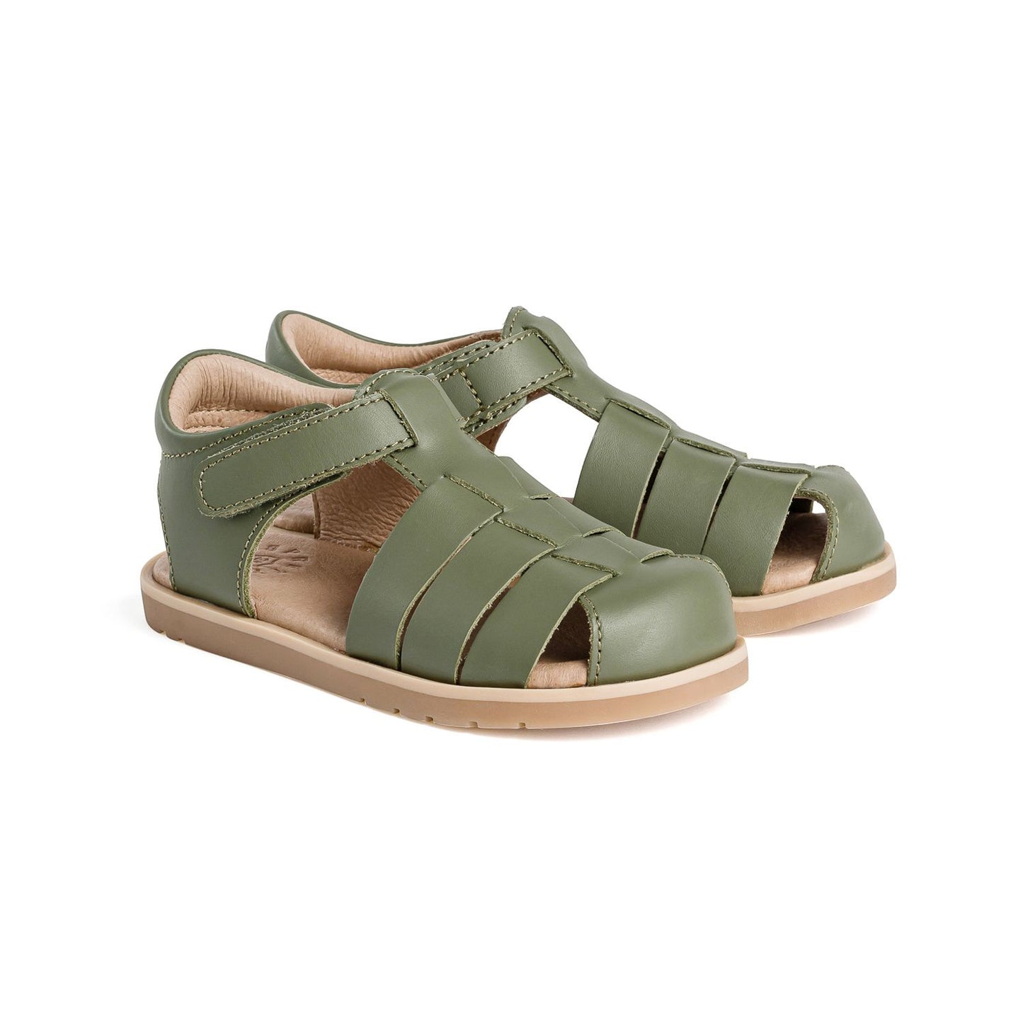 Rocco - Olive