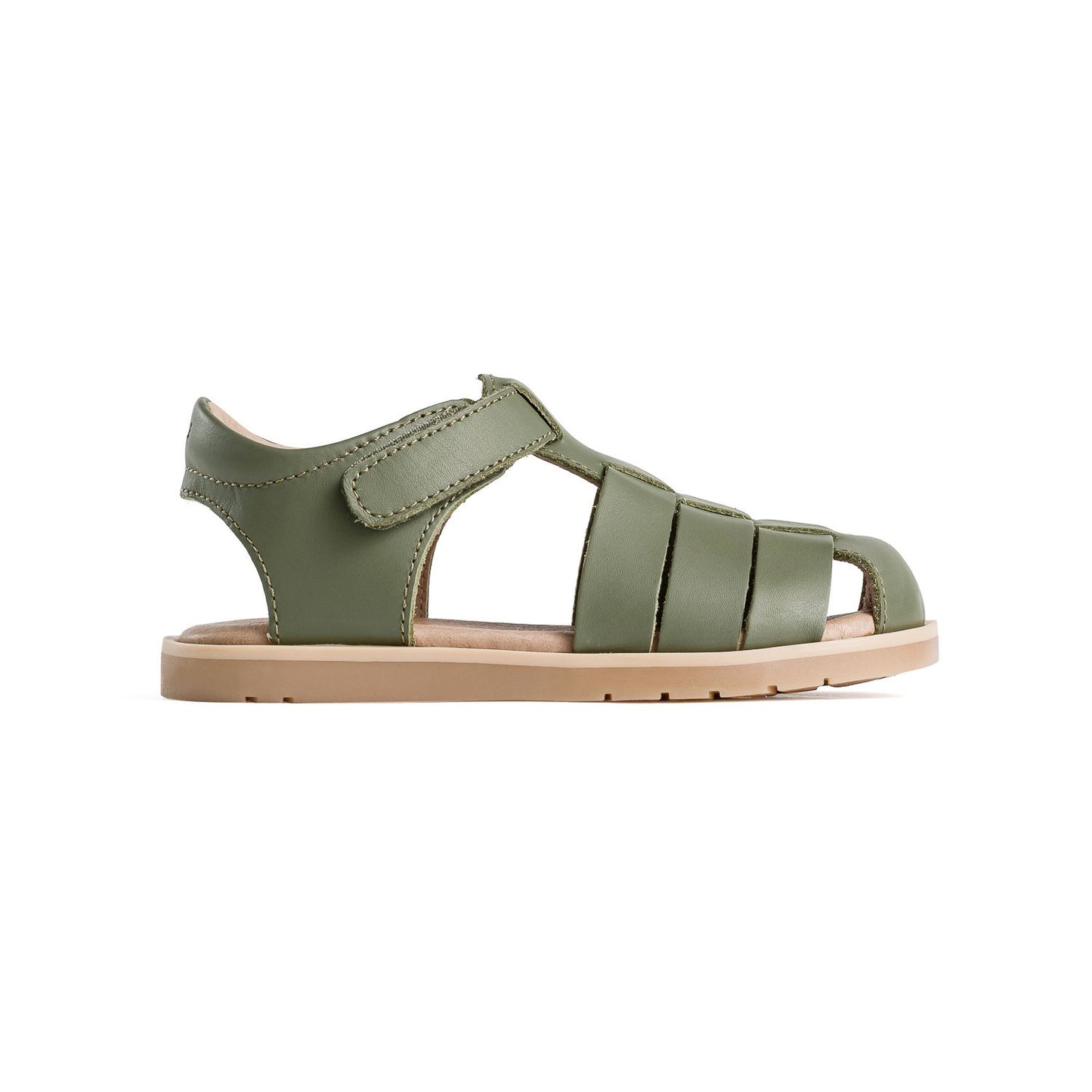 Rocco - Olive