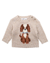 Load image into Gallery viewer, Austin Speckle Dog Jumper
