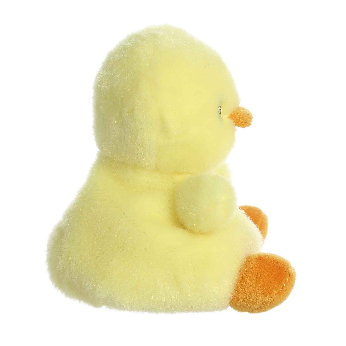 Betsy Chick