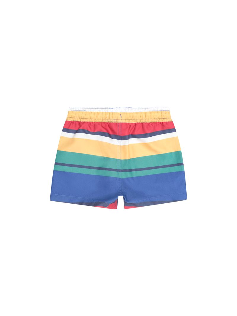 Variegated Stripe Boardshort