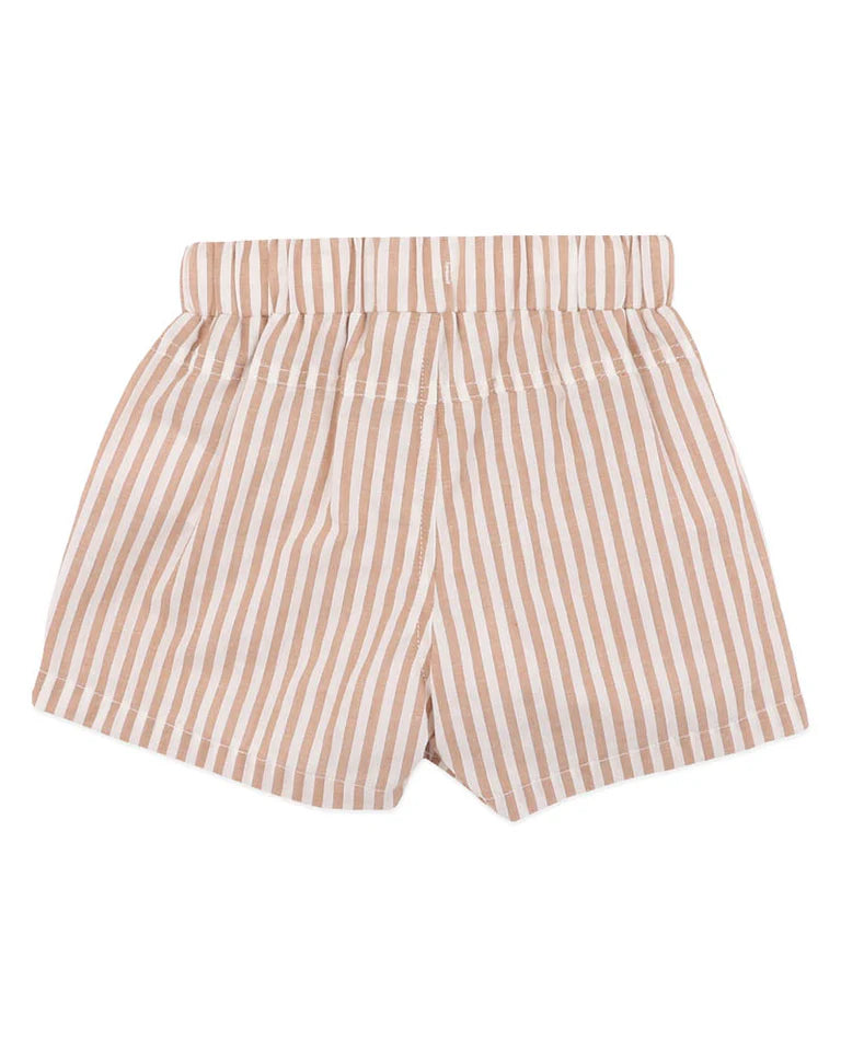 Brady Stripe Woven Shorts