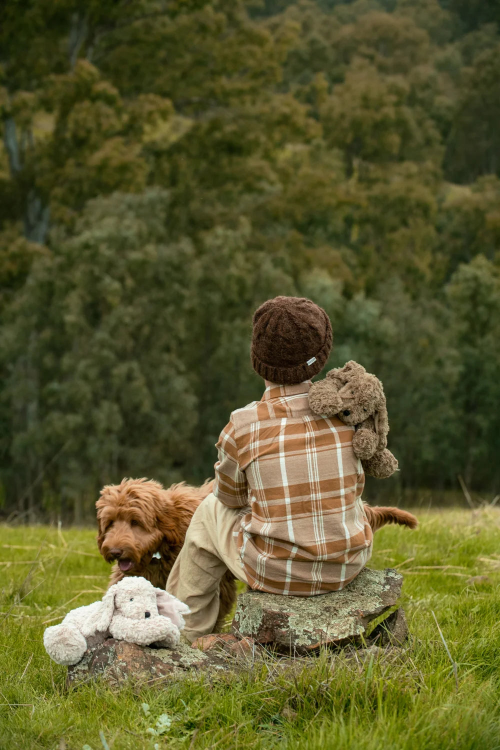 Max The Dog - Brown