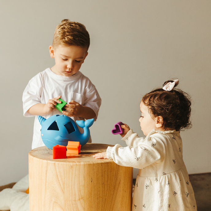 Narwhal Shape Sorter - Bright
