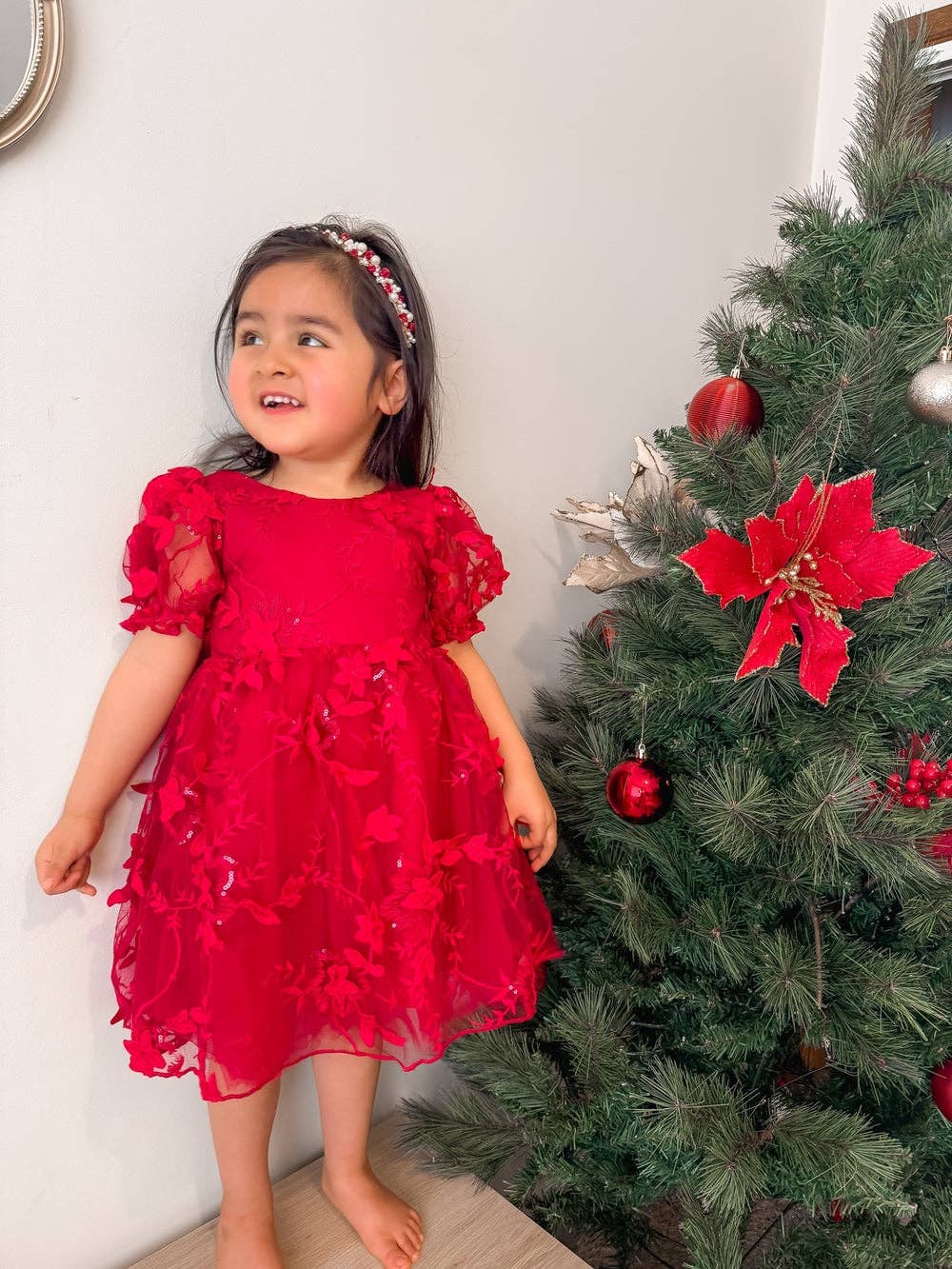 Vienna Girls Christmas Embroidery Dress