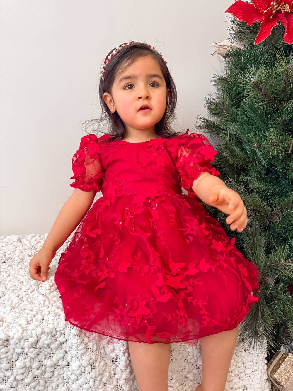 Vienna Girls Christmas Embroidery Dress