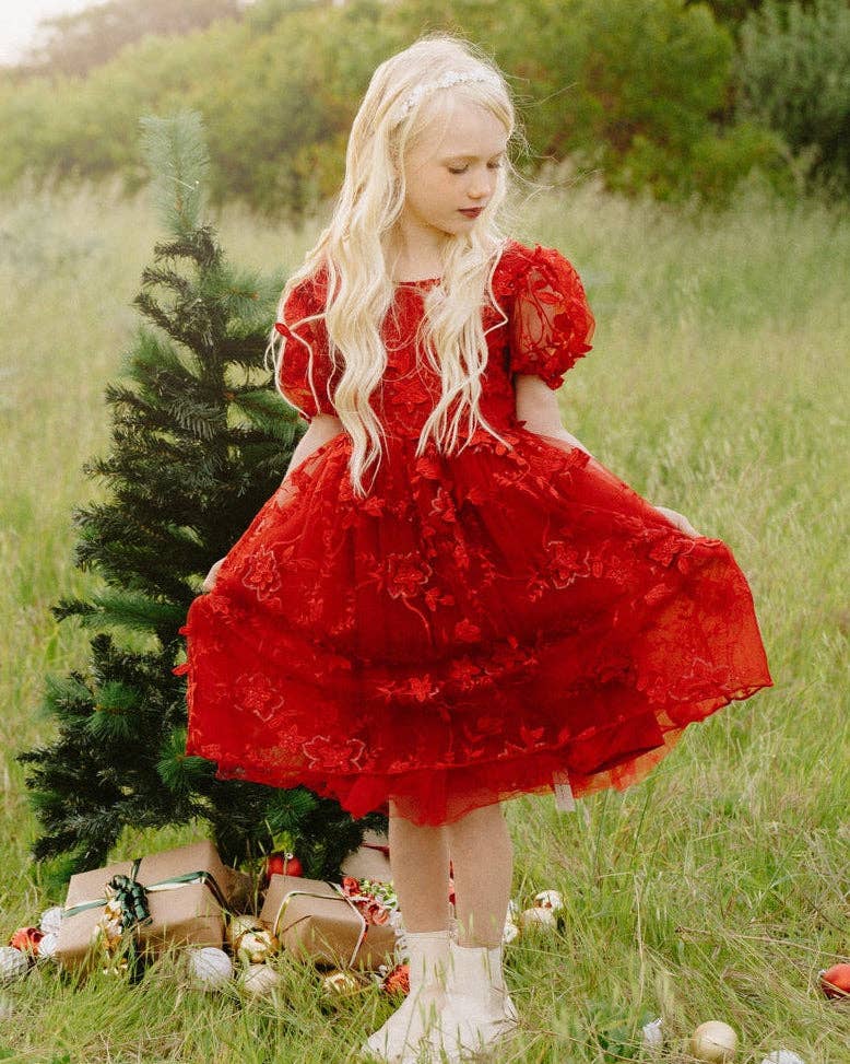 Vienna Girls Christmas Embroidery Dress