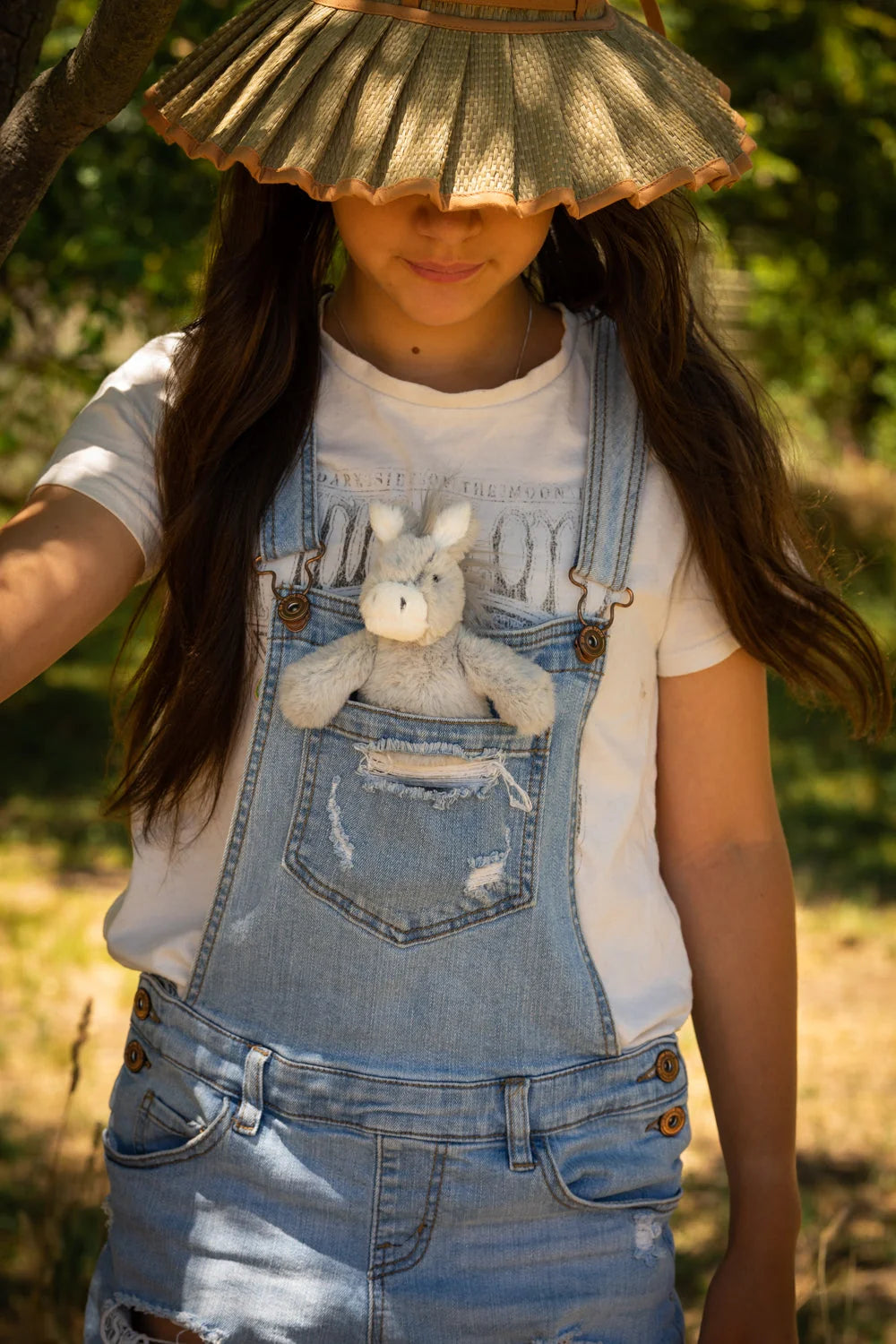 Diego The Donkey Rattle