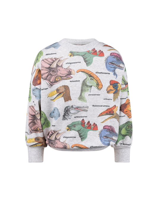 Dino Bright Sweatshirt