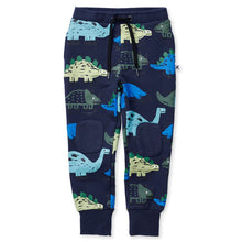Load image into Gallery viewer, Dino Rollers Furry Trackies - Dark Blue
