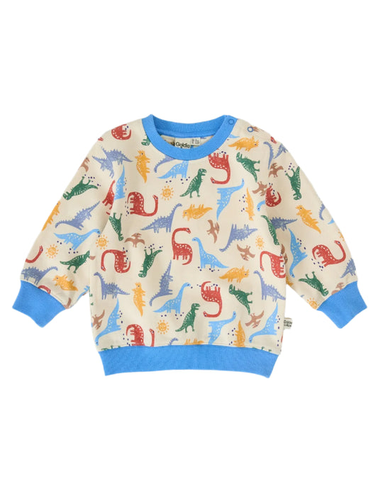 Dino-Mite Relaxed Terry Sweater