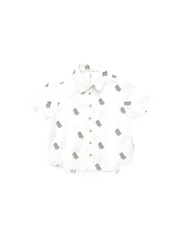 Dino Embroidered Shirt