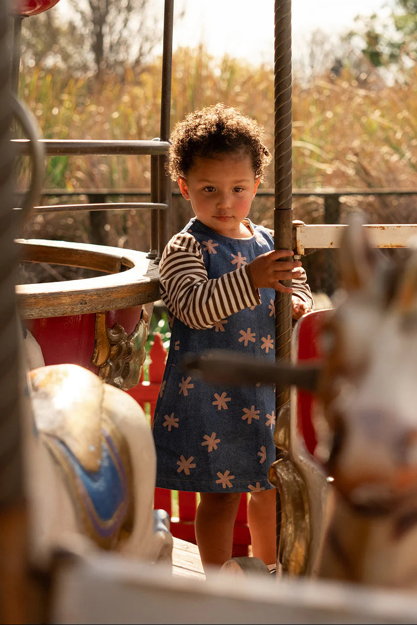 Organic Starlight Denim Dress