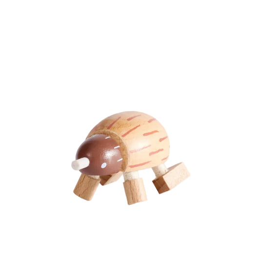 Echidna