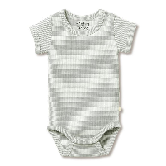 Organic Stripe Rib Bodysuit - Fern