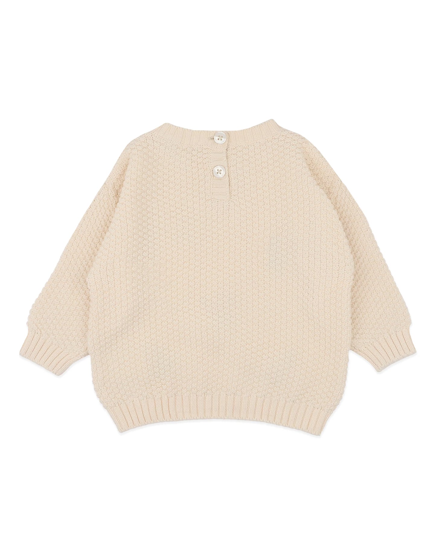 Fern Hand Embroidered Organic Jumper
