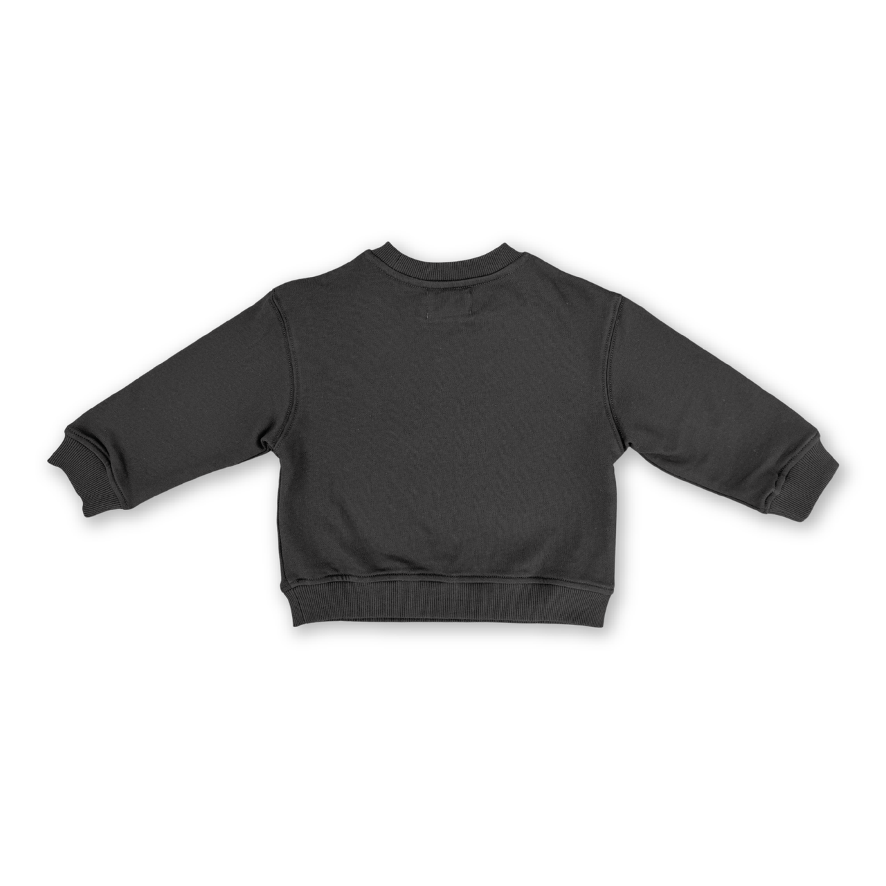 Parrot Fish Jumper - Ash