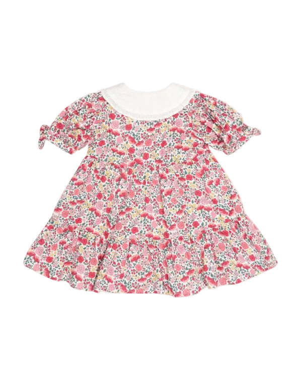 Festive Floral Frill Collar Dress