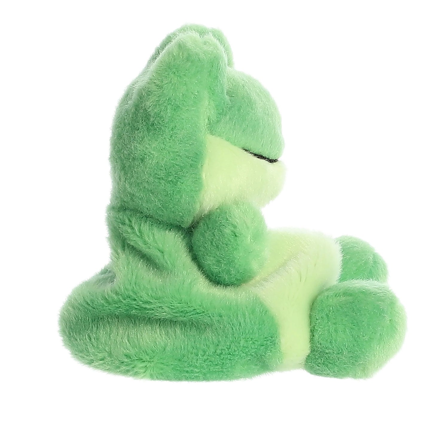 Ribbits Frog