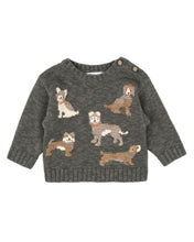 Load image into Gallery viewer, Austin Dogs Knitted Jumper
