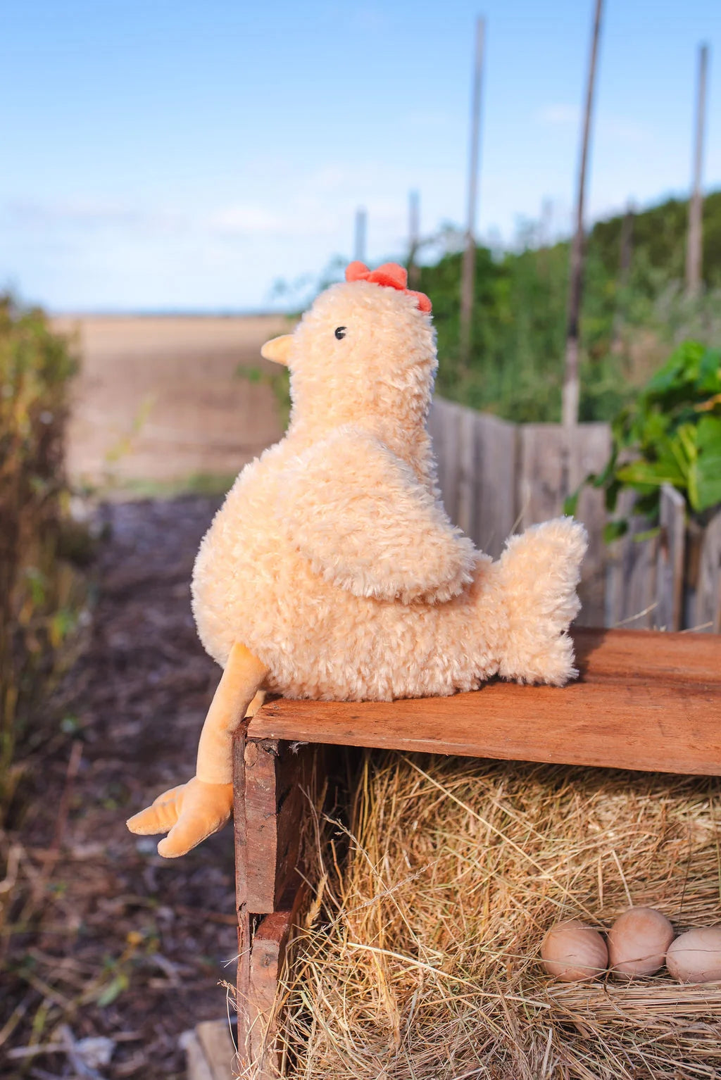 Harriet The Hen