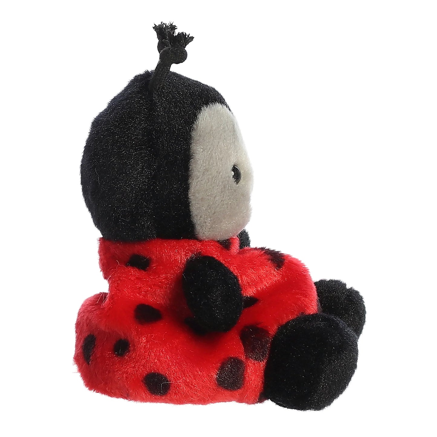 Lil Spots Ladybug