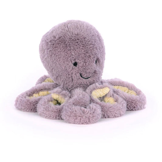 Baby Maya Octopus