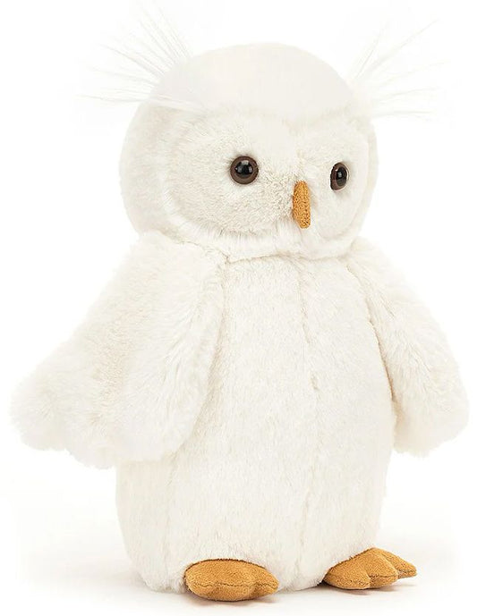 Medium Bashful Owl