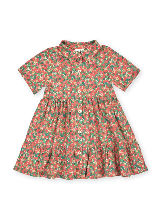 Strawberry Monica Dress