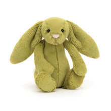 Load image into Gallery viewer, Small Bashful Bunny - Moss
