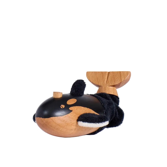 Orca Whale