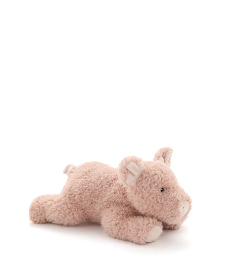 Paloma The Pig