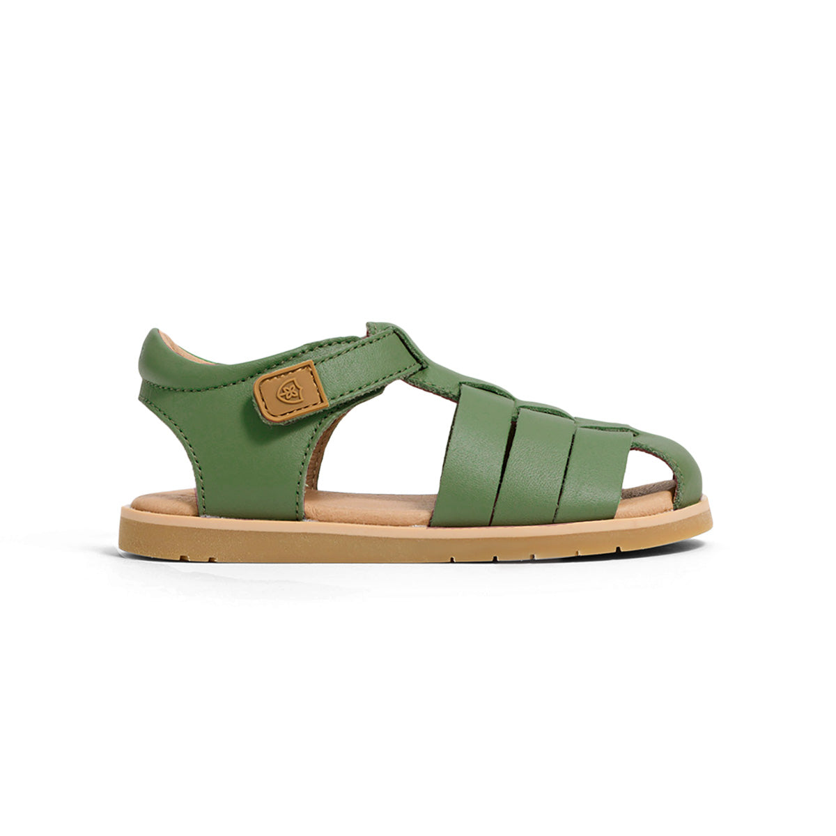 Rocco - Grass