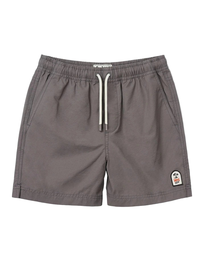 The All Day Swim Trunk - Shark